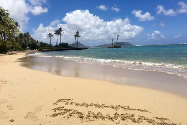 the-challenges-of-living-and-working-in-honolulu,-hawaii
