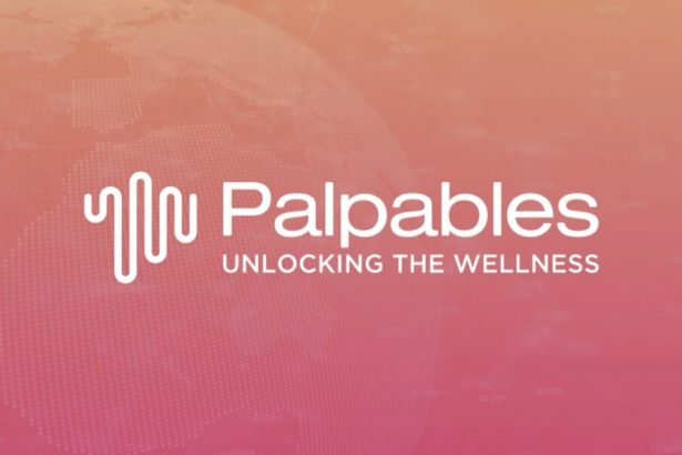 the-emergence-of-a-new-inner-growth-platform,-'palpables'-through-the-integration-of-blockchain-and-iot